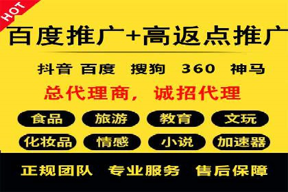 成功运用SEM服务实现品牌推广的案例分析
